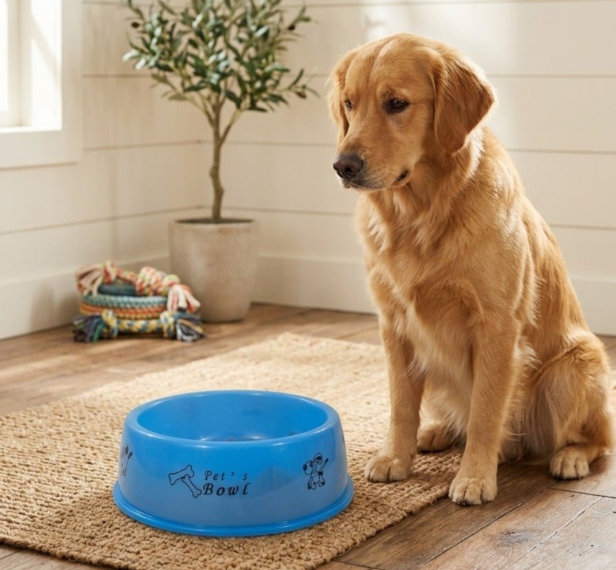 Plastic Pet Food Bowls - Image 2