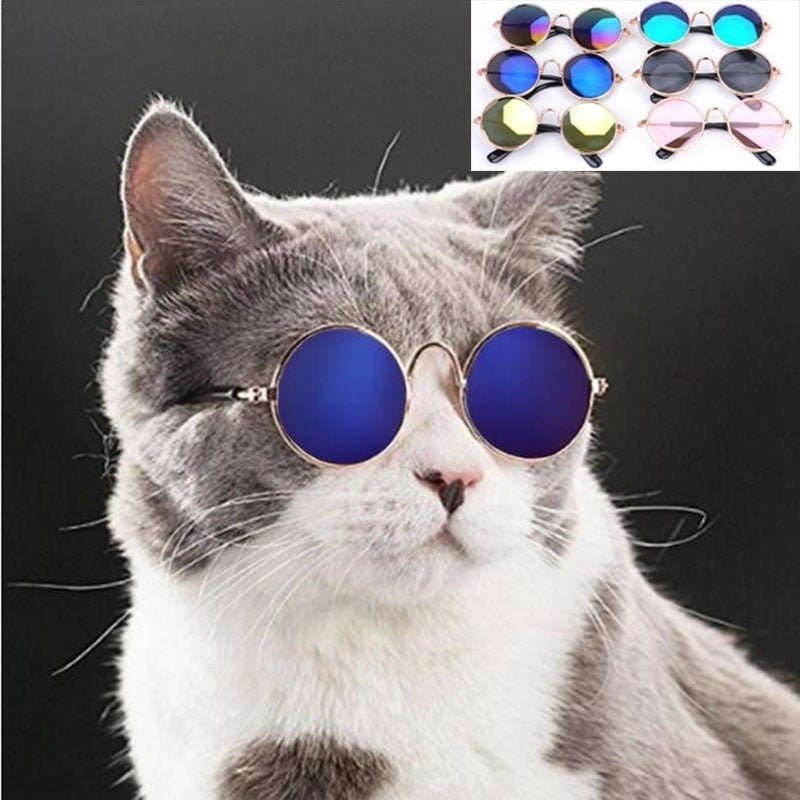 Pop Pet Eyes Sunglasses Shades for Cats and Small Puppies