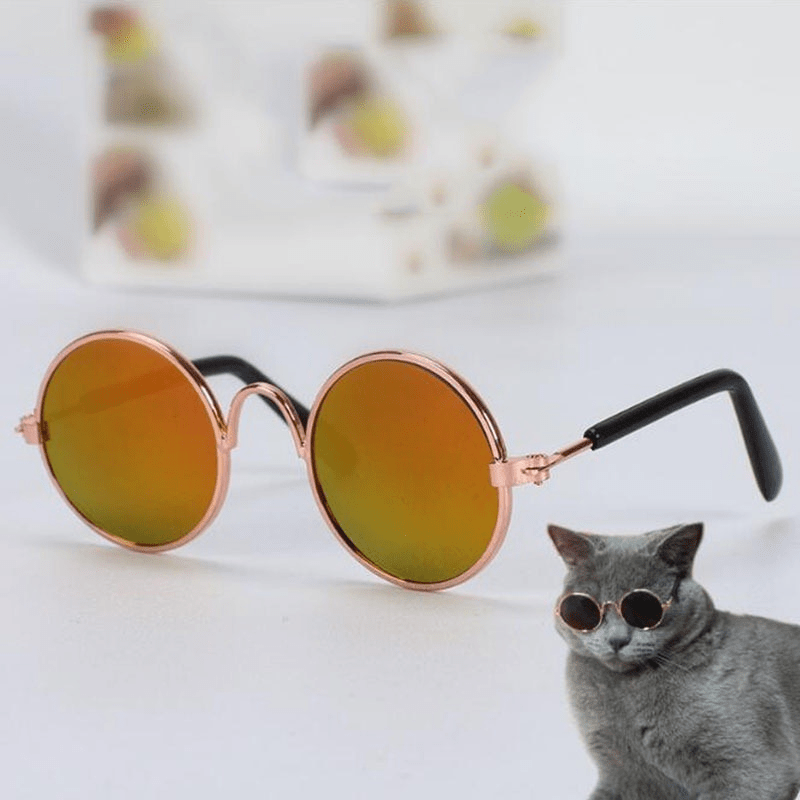 Pop Pet Eyes Sunglasses Shades for Cats and Small Puppies - Image 2
