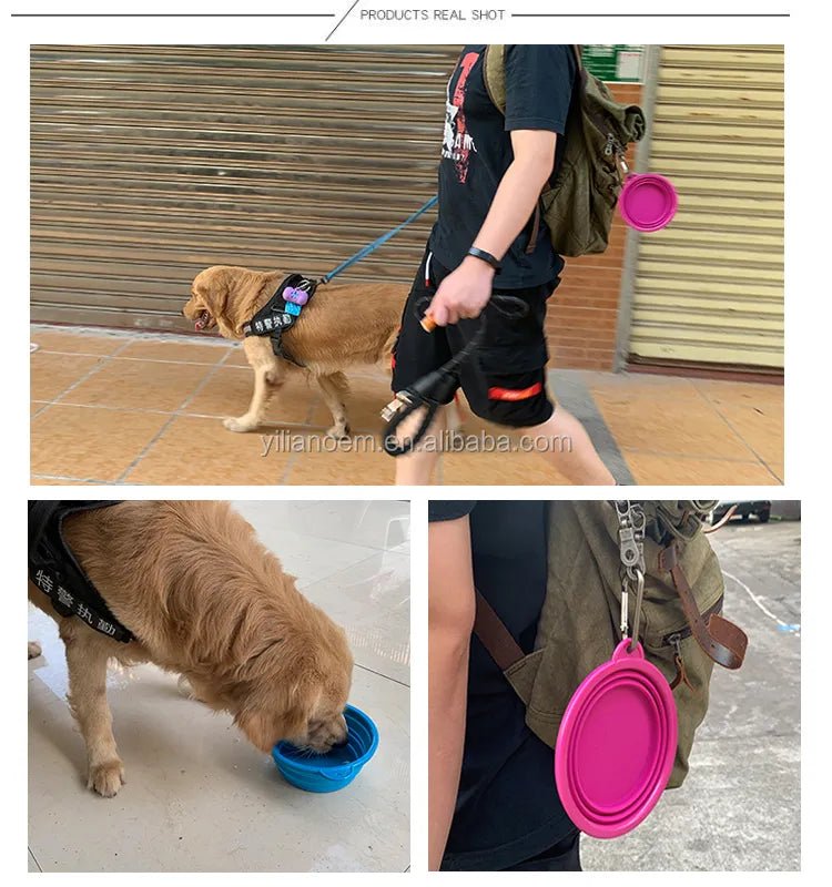 Portable Travel Bowl for Cats and Dogs (Assorted Colors)