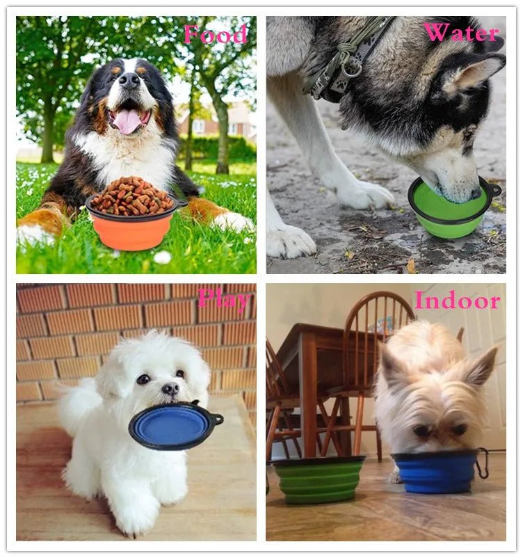 Portable Travel Bowl for Cats and Dogs (Assorted Colors) - Image 3