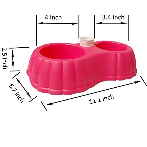 Pumpkin Double Bowl Water Dispenser Non-Slip - Image 2