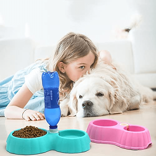 Pumpkin Double Bowl Water Dispenser Non-Slip