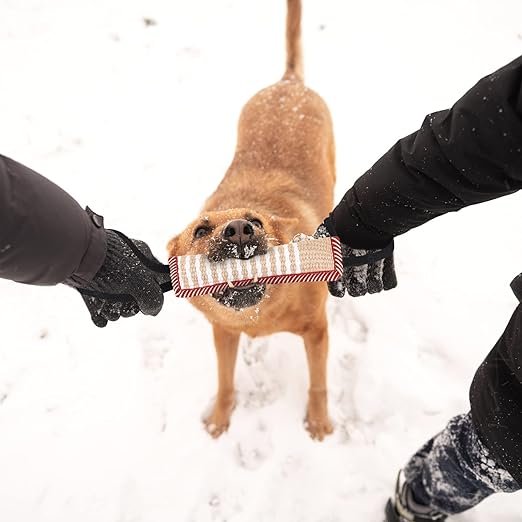 Puppy/Dog Tug for Strong Teeth and Training - Image 2