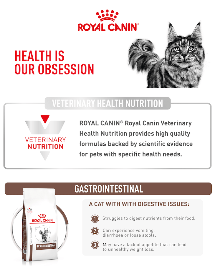 Royal Canin Gastro Adult Cat 2Kg - Image 3
