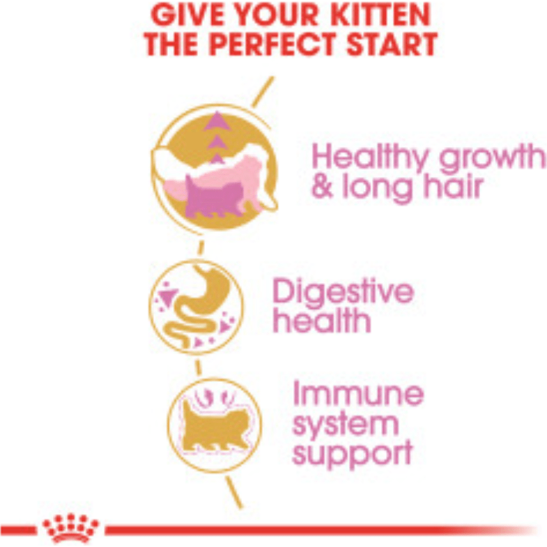 Royal Canin Persian Kitten - Image 3