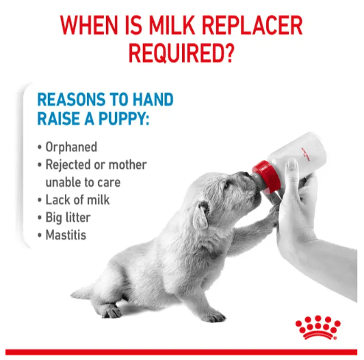 Royal Canin Puppy Milk Replacer - Image 2