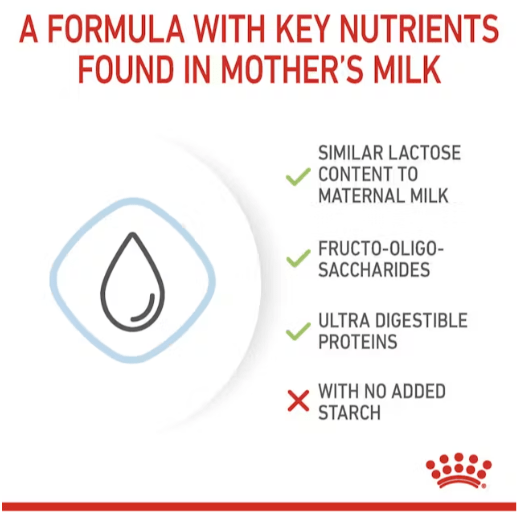 Royal Canin Puppy Milk Replacer - Image 3