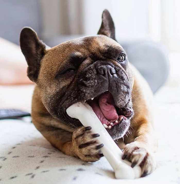 Nunbell Dog Chewing Bone Toy - Image 3