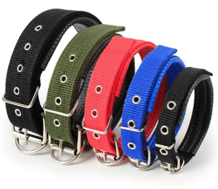 Durable Imported Nylon Dog Collar For Puppies & Dogs - Image 3