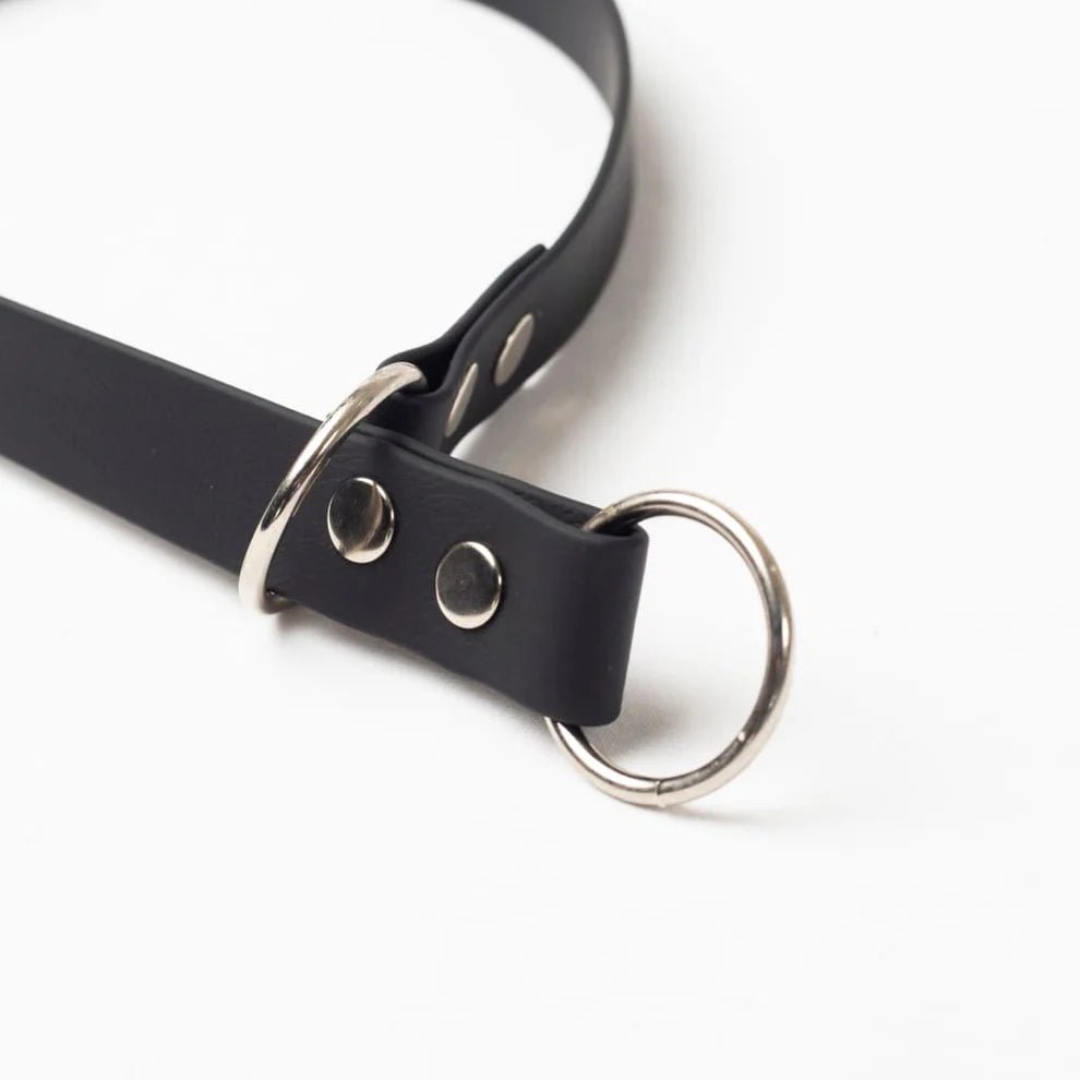 Slip Dog Training Collar (Double Ring) - Image 2