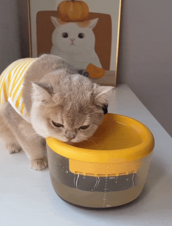 Smart Wireless Bee Fountain for Pets with Motion Sensor - Image 2