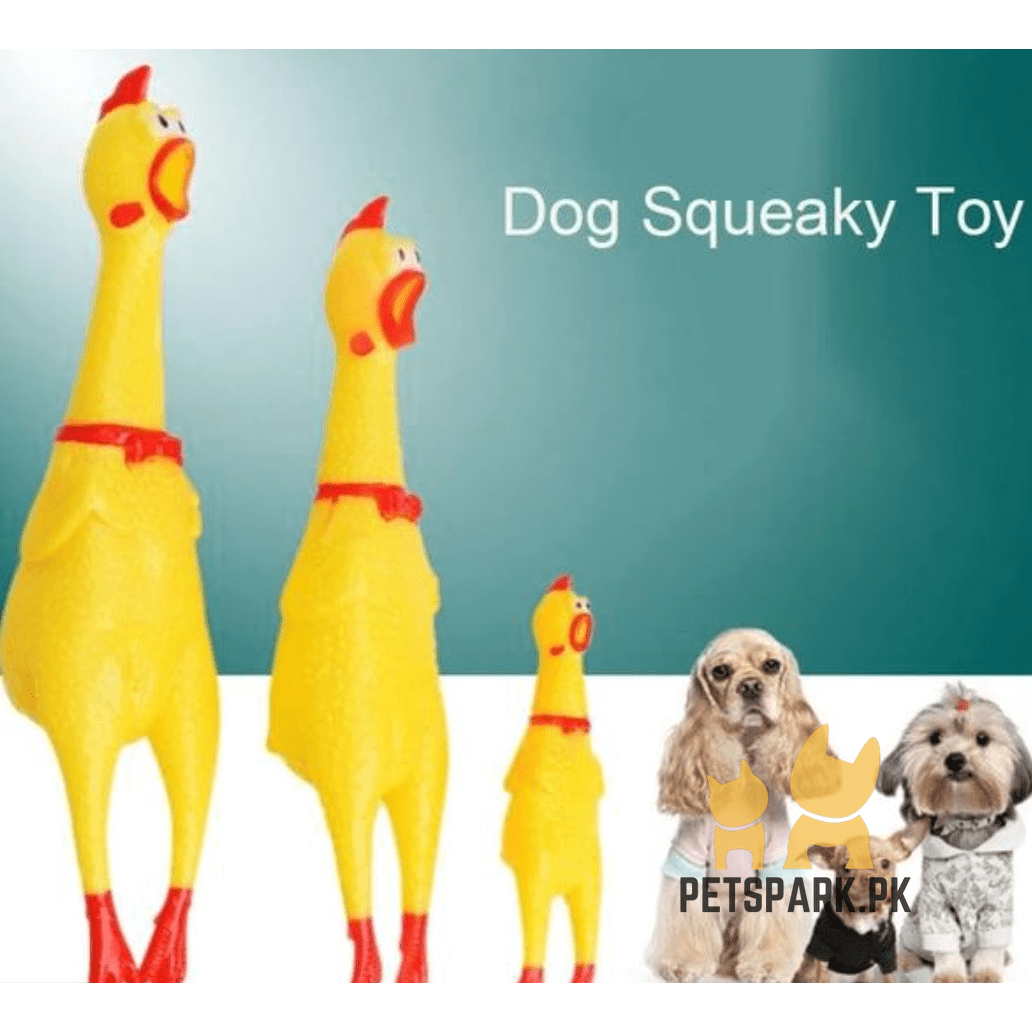Squeaking Hen Toys for Dogs & Cats - Image 3