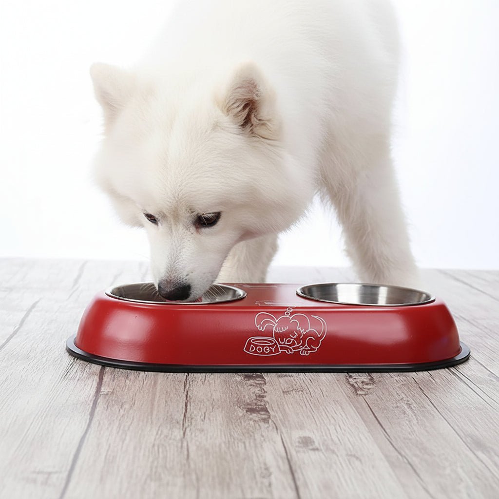 Steel Double Bowl for Water & Food - Image 2