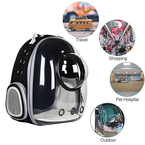 Transparent 2 In 1 Cat Carrier Backpack - Image 2