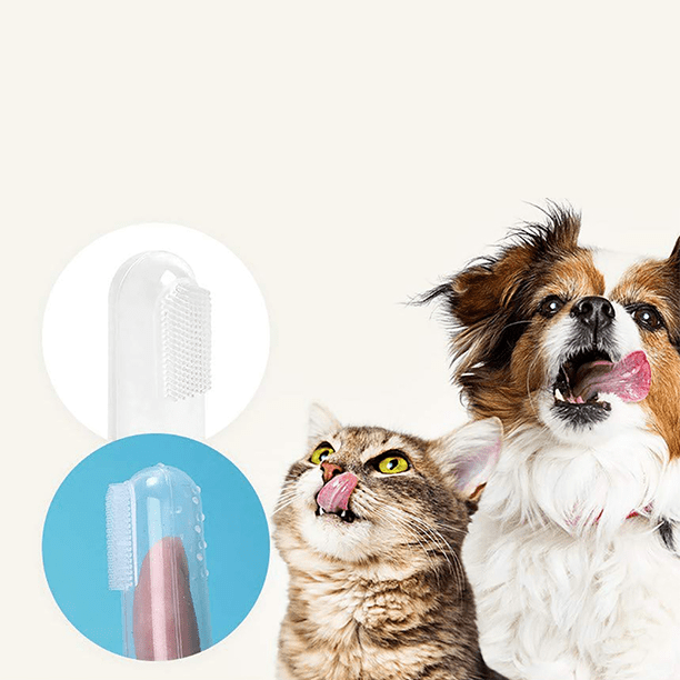 Transparent Finger Brush for Cats and Dogs - Image 2