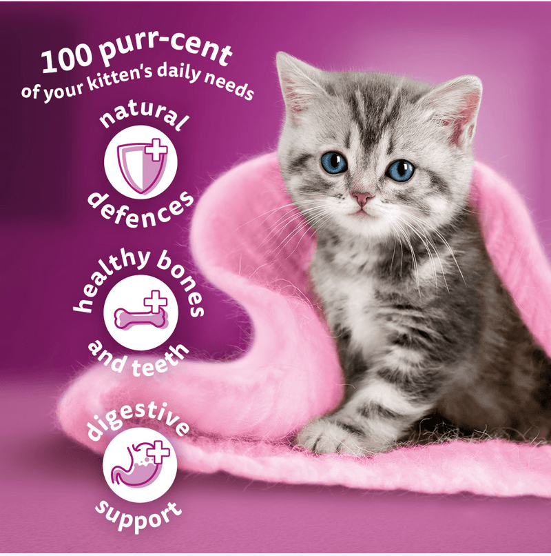 WHISKAS Kitten Dry Food Chicken 2-12 Months 300Grams - Image 3
