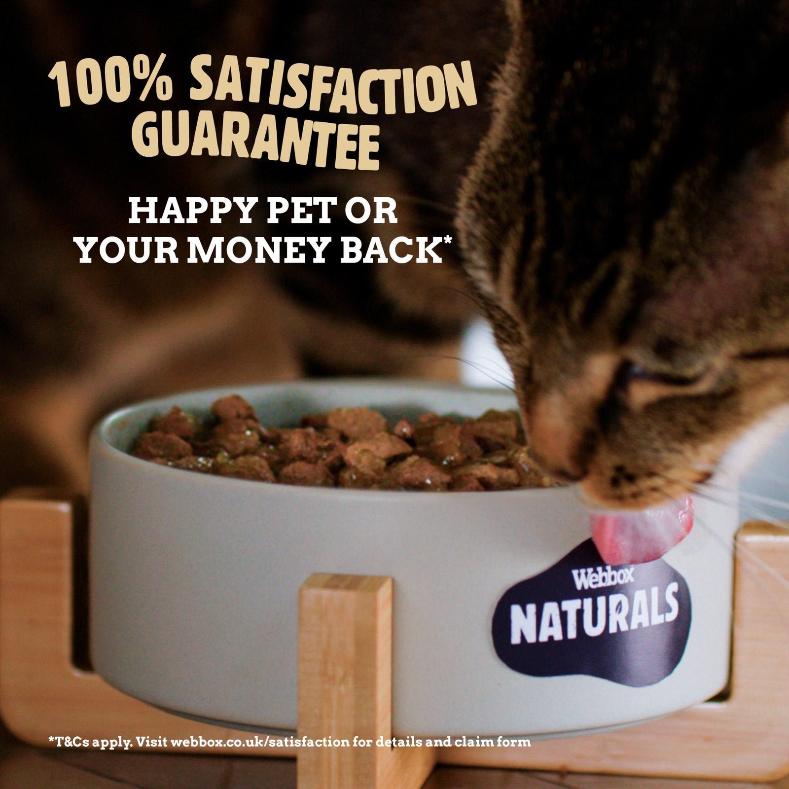 Webbox Naturals Jelly Wet Cat Food 100Grams - Image 3