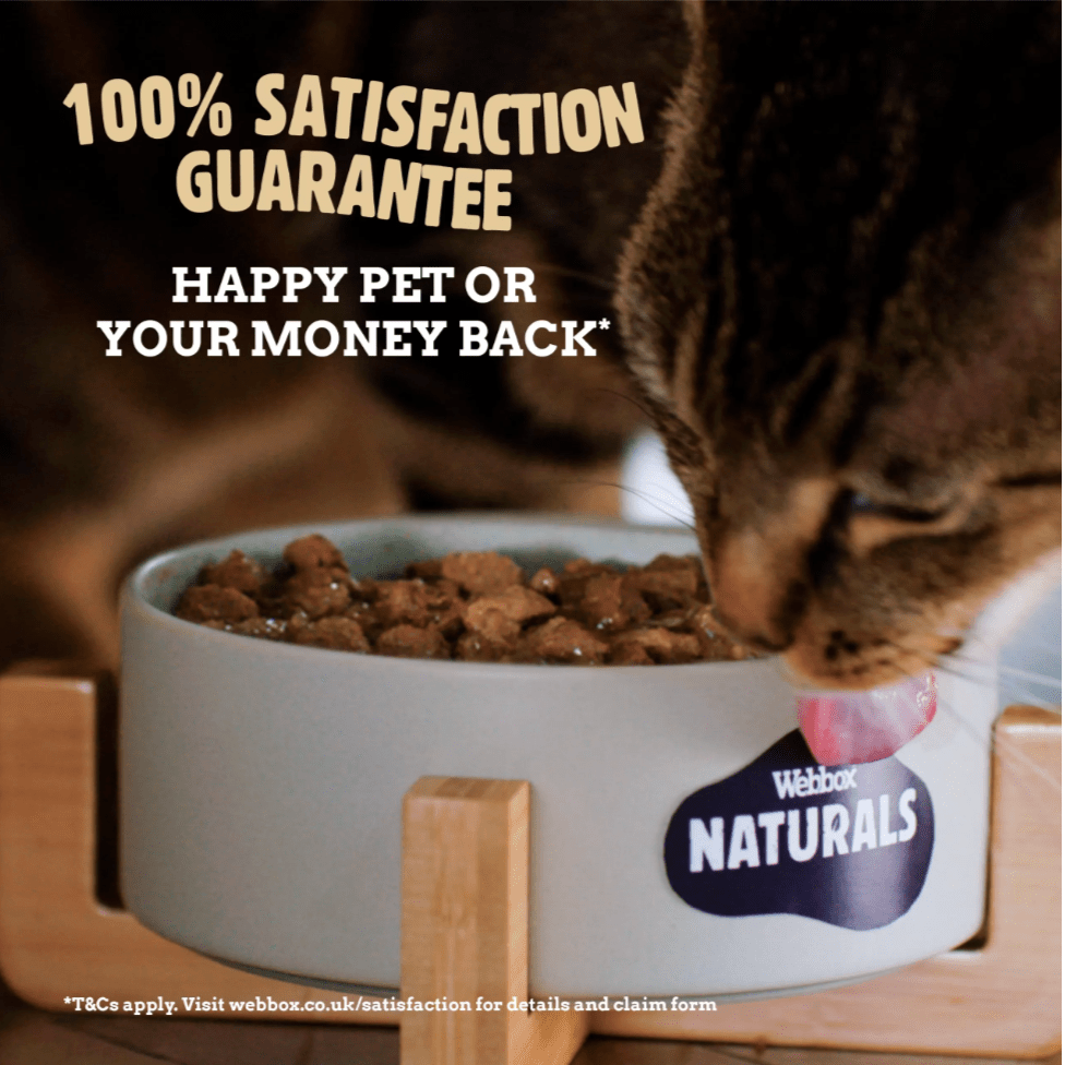 Webbox Naturals Jelly Wet Kitten Food 100Grams - Image 3