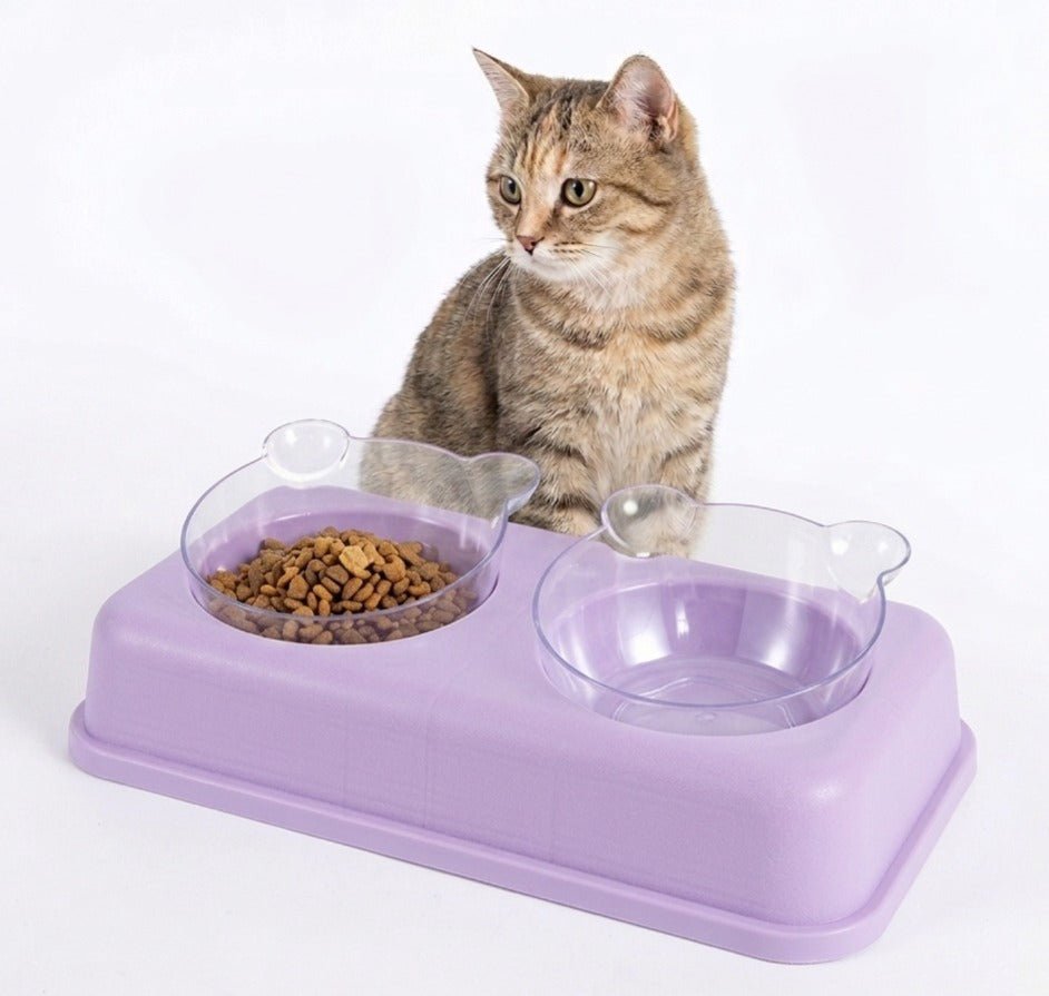 Washable Transparent Double Bowl for Pets - Image 3