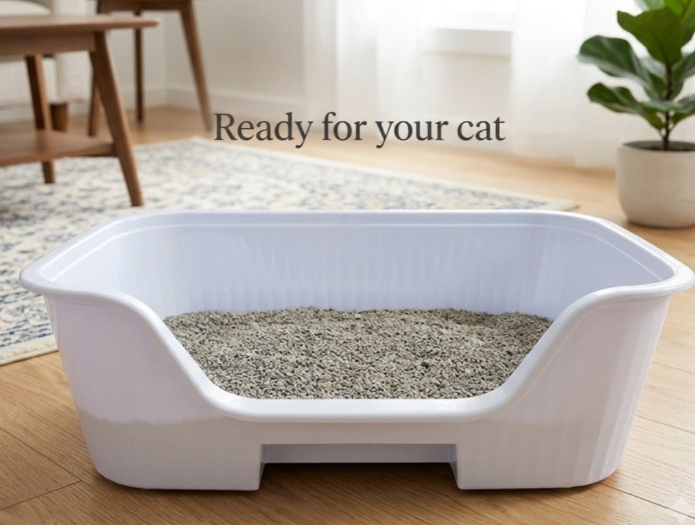 Easy Entry High-Sided Cat Litter Box - Image 2