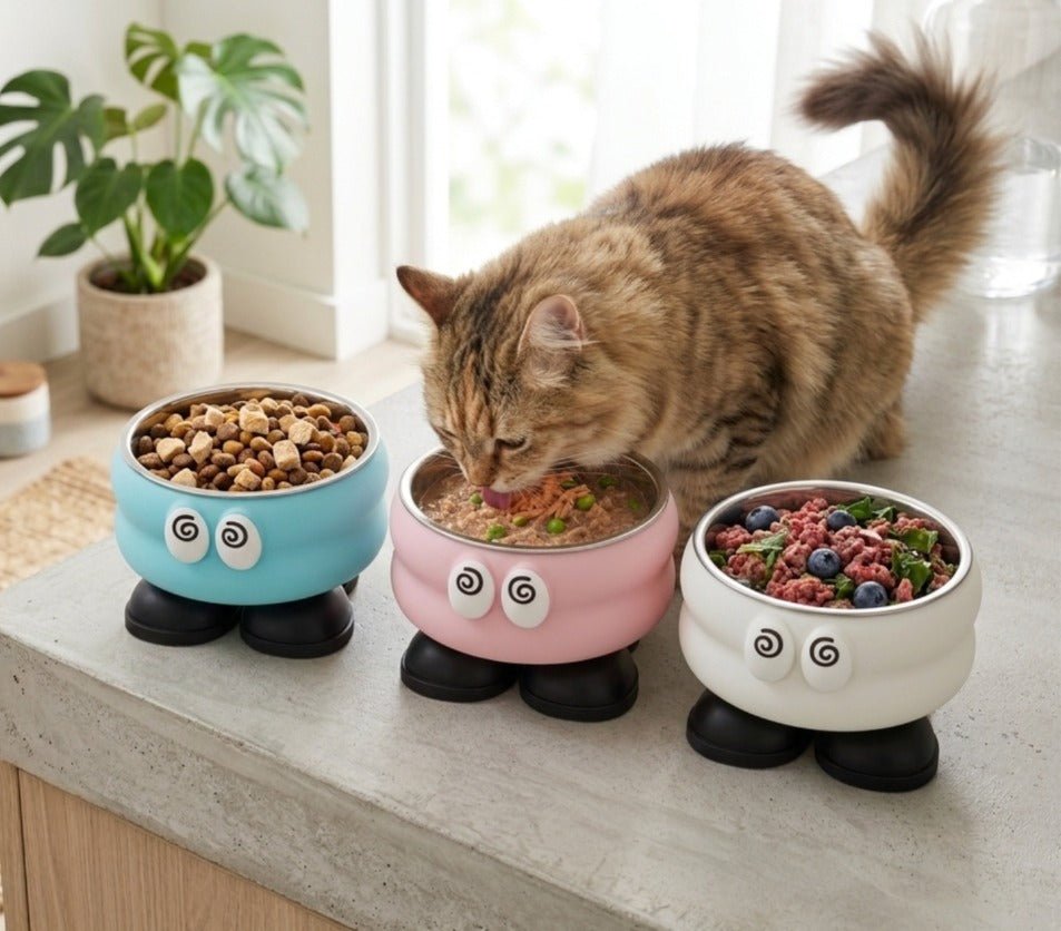 Adorable Elevated Stainless Steel Pet Bowl - Image 2