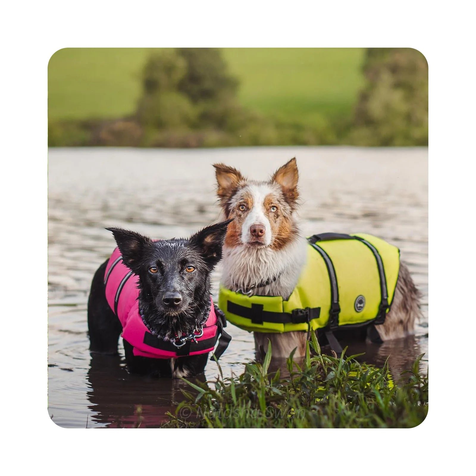 K9 Dog Swimming Life Jacket - Image 2