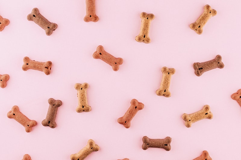 Pedigree Dog Food