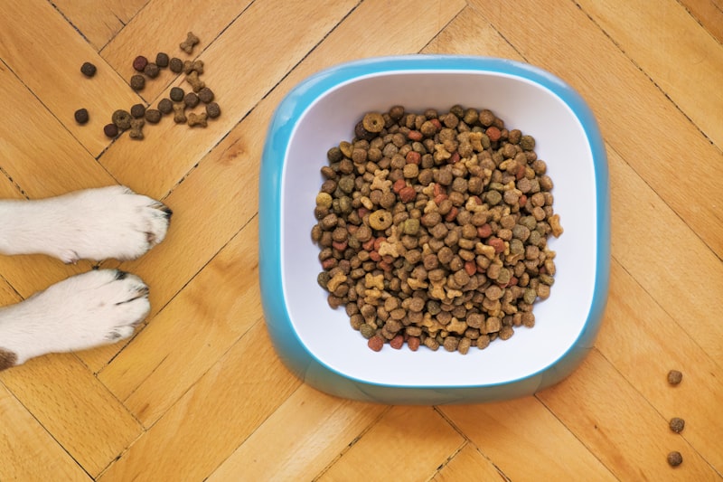 Reflex Plus Medium/Large Breed Puppy Food - 3kg